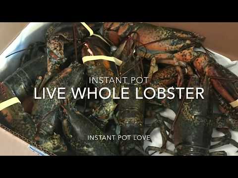 download lagu mp3 mp4 Instant Pot Lobster, download lagu Instant Pot Lobster gratis, unduh video klip Instant Pot Lobster