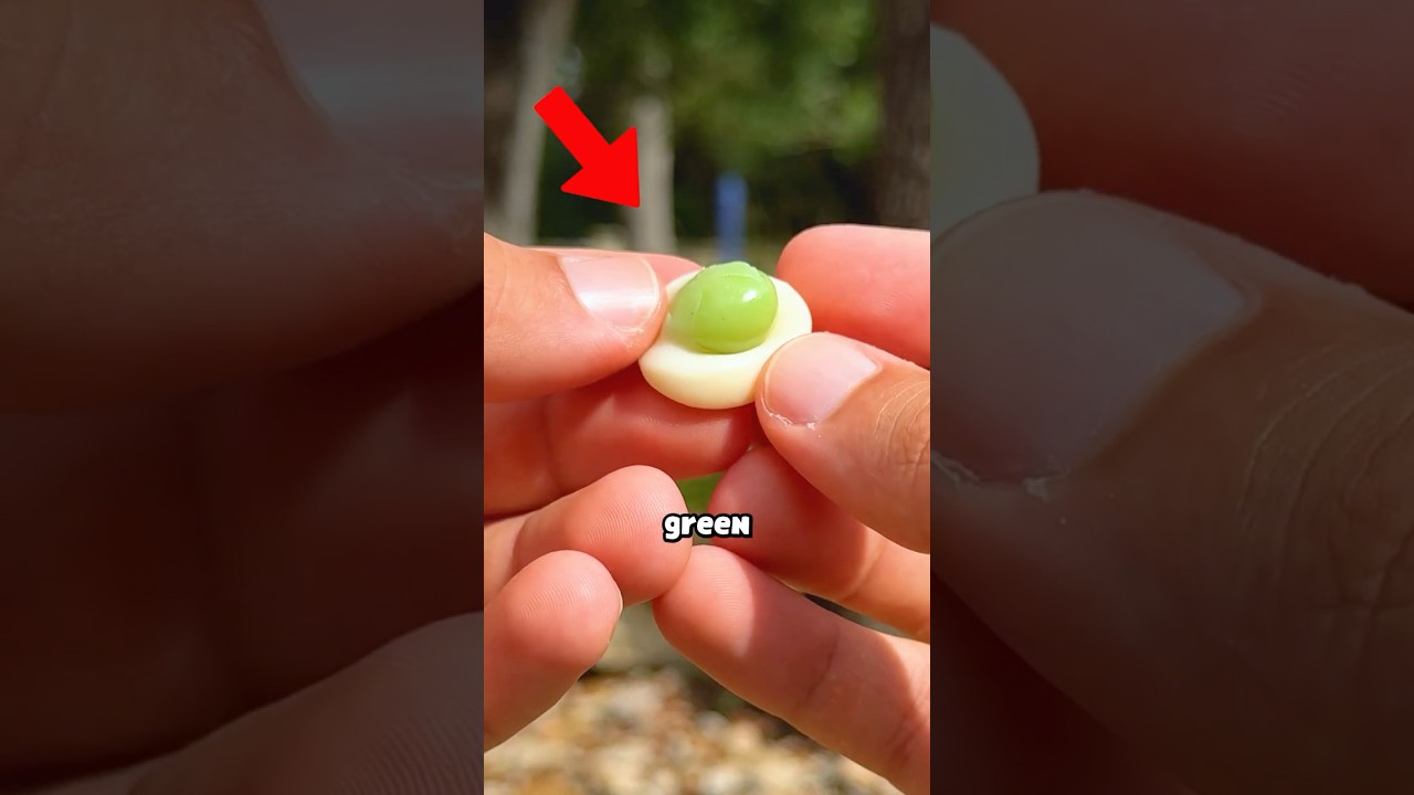 what mochi peelerz look like :]