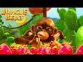 Mission Prickly Situation Jungle Beat Cartoons For Kids WildBrain Happy