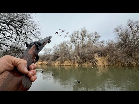 Epic Duck Hunting a Skinny Water Creek in the Woods!