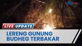Kebakaran di Kabupaten Tulungagung, Berawal dari Hutan Desa Pucung Kidul Merembet ke Gunung Budheg