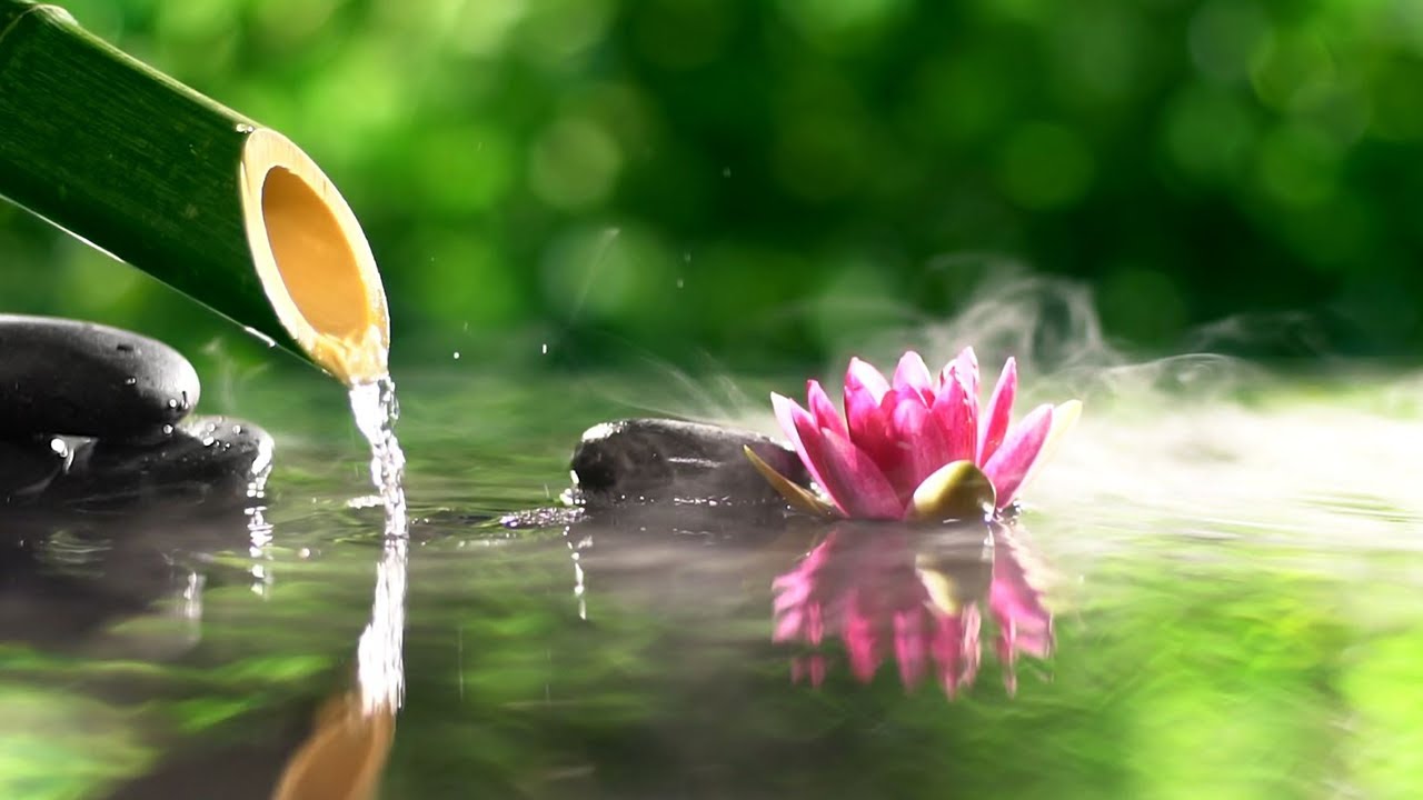 Bamboo Water Fountain & Relaxing Healing 24/7 自然の音とともに音楽をリラックス バンブーウォーターファウンテン 【癒し音楽BGM】