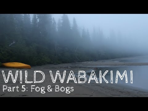 Wild Wabakimi - Part 5 - Fog and Bogs