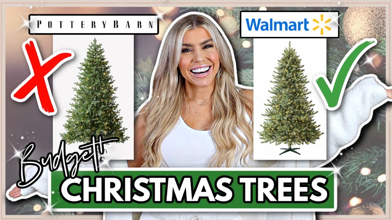 What are the best Christmas trees? Tipseri