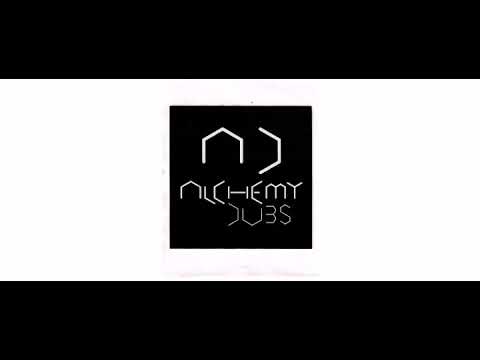 Alpha & Omega / Paul Fox  - Freedom Fighters (Ojah Remix) - 7" - Alchemy Dubs