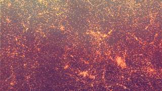 Pattern Repeat 006 - B