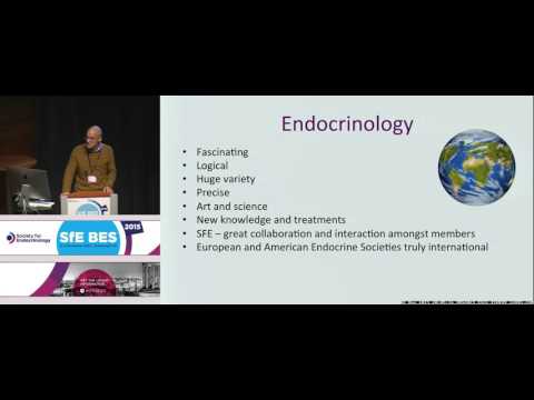 What endocrinology did for me – from a consultant’s perspective