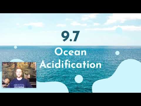 AP Environmental Science Notes 9.7 - Ocean Acidification