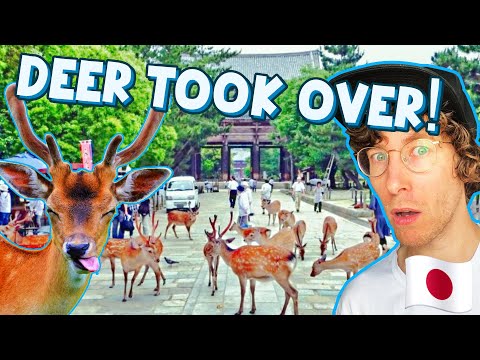 Forget about Kyoto, go to Nara instead! | Nara Vlog