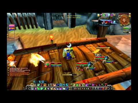 Gladiator Miirkat - Here we go.... Bite.