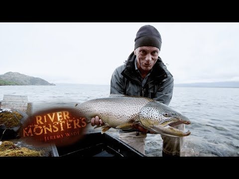 Encountering Super-Sized Brown Trout | TROUT |  River Monsters