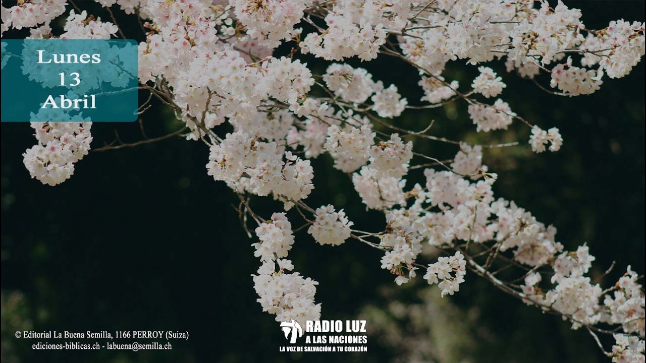 The Good Seed - April 13 (Psalm 22 quoted in the New Testament 1)