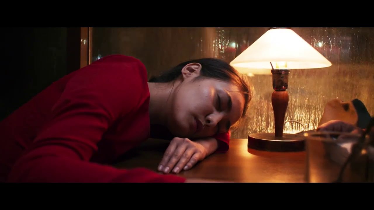 Film Trailer  The Gentle Indifference of the World