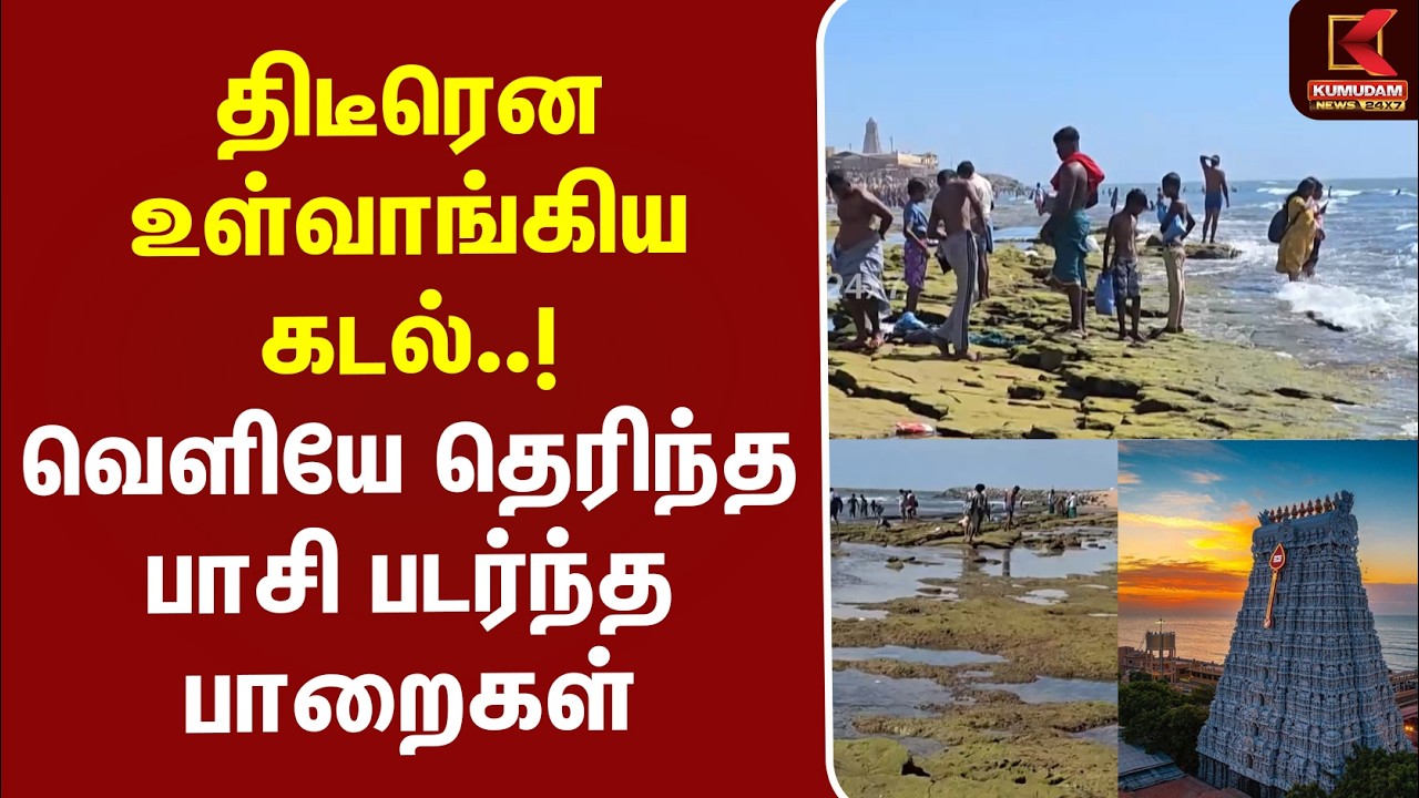 திடீரென உள்வாங்கிய கடல்..! வெளியே தெரிந்த பாசி படர்ந்த பாறைகள் | Thiruchendur Temple | Kumudam News