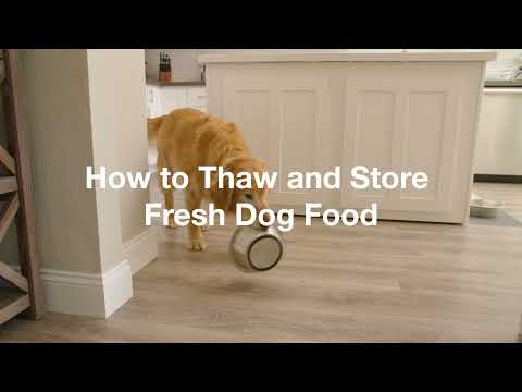 How to Store Dog Food and Keep It Fresh | JustFoodforDogs