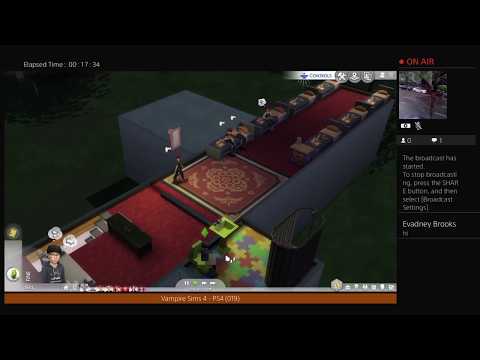 Skaetur's Sims 4 (Vampire) - Mrs. Hannigan, birthday cake boss (019)