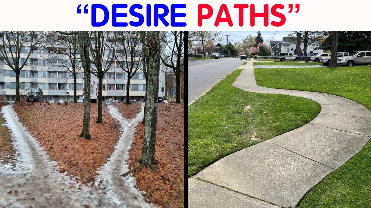 50 Times Urban Planners Failed To Understand People’s Needs, And It Resulted In ‘Desire Paths’