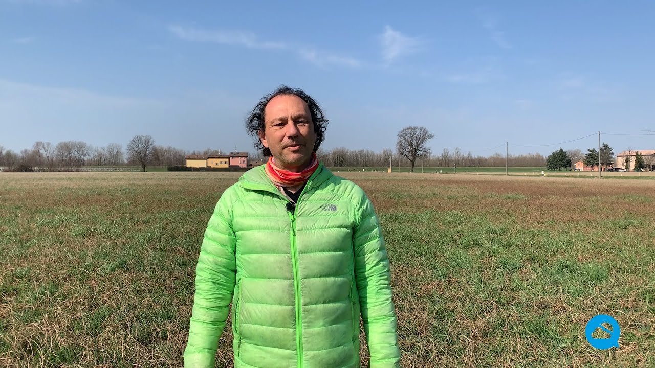 youtube video id=A9mNd_4-860