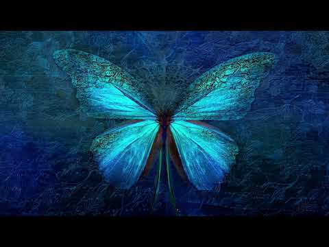 Ali Deger - Butterfly Effect (Extended Mix)