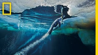 Emperor Penguins Speed Launch Out of the Water | National Geographic