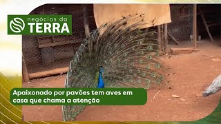 Miniatura do vídeo
