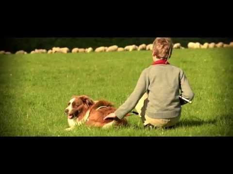 Way to go - Way to go - Vodiaci pes [Official video]