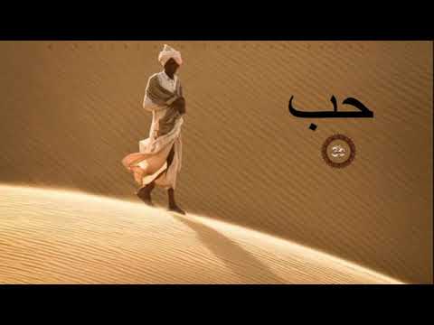 Music from Asia & Arabia-The Silk Road Lounge - Music for the Soul