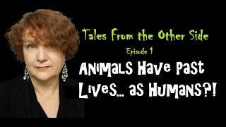 &quot;ANIMALS HAVE PAST LIVES AS HUMANS?!&quot; Episode 1: Tales From the Other Side