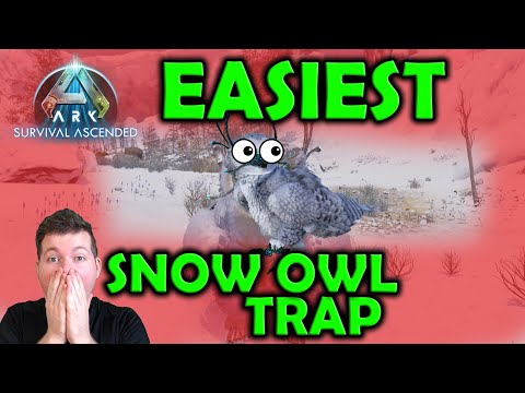 I built the Cheapest and BEST Snow Owl Trap Ever | How To Tame a SNOWOWL Quick and Easy Ark Ascended