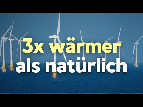 Studie: So stark erwärmt Windkraft die Wasseroberfläche