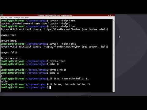Using toybox true/false