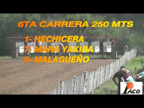 MALAGUEÑO  DON NICO BAÑADO DE SOTO 13 03 2022