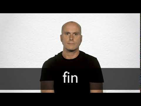Fin Definition And Meaning Collins English Dictionary