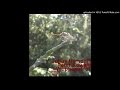 Julius Hemphill Solo 2 - Wuppertal 87