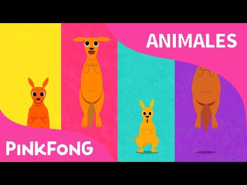 Canguro Boin Boin | Canguro | Animales | PINKFONG Canciones Infantiles