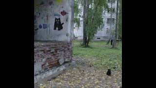 Cover art for lieu x Twikipedia type beat - gotta go