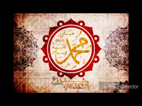 TO NIJE SLIJEĐENJE SUNNETA - dr. Safet Kuduzović