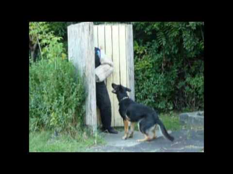 Schmoll-Kerti Krova 2011 őrző-védő gyakorlatok Zeitler Józsival