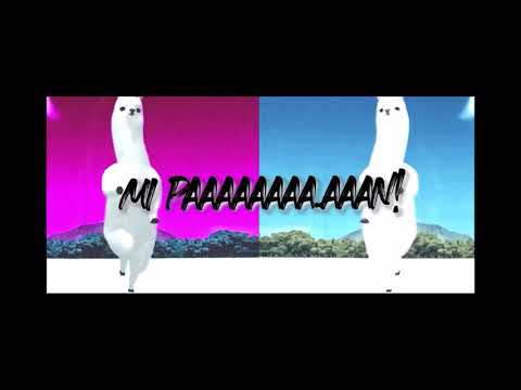 Mi Pan su su su sum zhu (Perreo) Dj Bryanflow 😅🔥