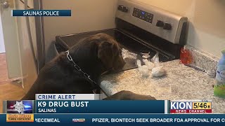 Salinas PD K9 catches ice cream man selling meth