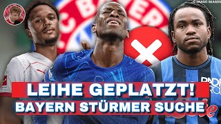 🚨JACKSON UPDATE! DEAL ON HOLD! BAYERN OFFER FOR LOOKMAN REJECTED! NO CONTACT WITH OPENDA!