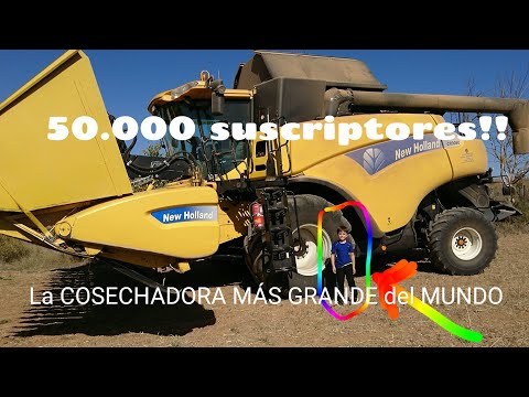 50,000 SUBSCRIBERS !! We go up to the WORLD’S BIGGEST BROKER