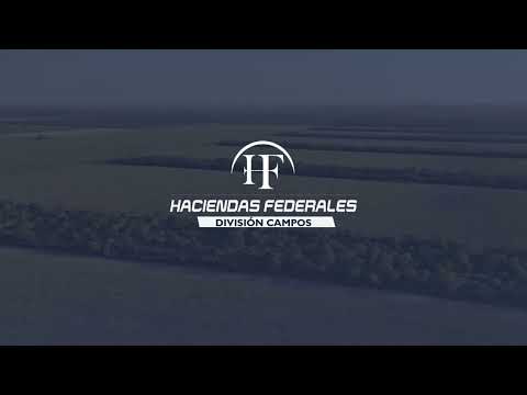 Campo Agrícola de 500 Has en Venta – Alto Potencial en Santiago del Estero