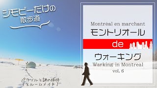 【カナダ・モントリオール】ジモピーだけの不思議な散歩道 | Park trail where only locals walk in Montreal Canada