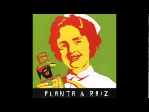 Planta & Raíz - Cante a Paz