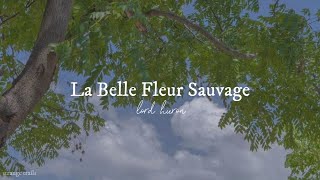 lord huron - le belle fleur sauvage / sub. español *.✧
