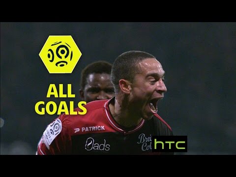 Goals compilation : Week 18 / 2016-17
