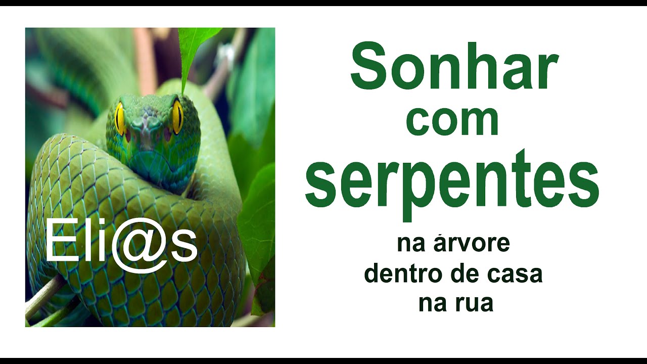 SONHAR COM SERPENTES NA ÁRVORE - SIGNIFICADO