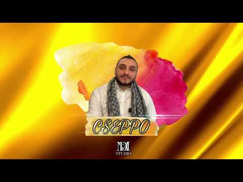 ARANYSZEMEK CSEPPO 2024 x TRADE DADE (ÚJ 1VELEG) • APU MIKOR ISZOL