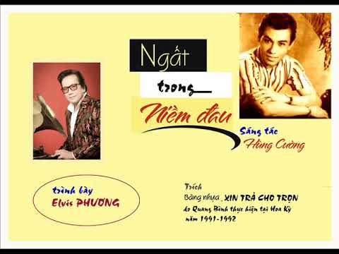 Ngất trong niềm đau - Elvis Phương